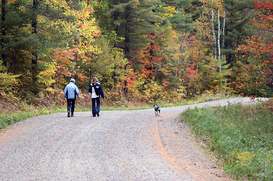 Walking on the road in the fall