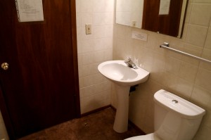 Toilet Sink 2